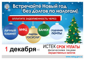 Встречайте Новый год без долгов по налогам! Встречайте Новый год без долгов по налогам!.